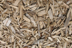 biomass boilers Straloch